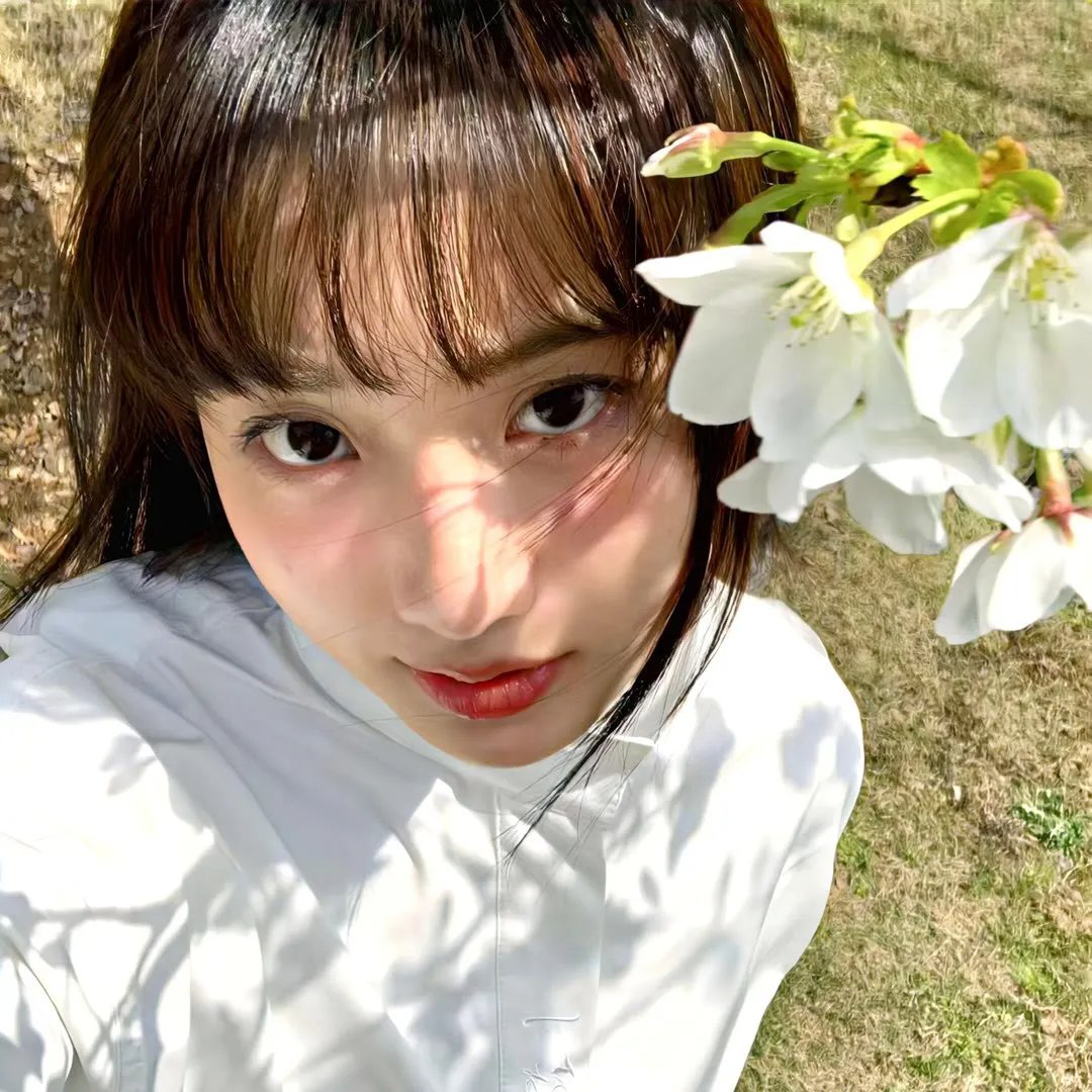 鹿王